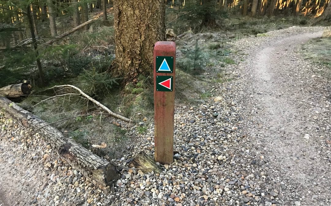 Minister: Nye retningslinjer for mountainbikespor skal sikre gode naturoplevelser for alle